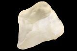 Libyan Desert Glass ( g) - Meteorite Impactite #188531-1